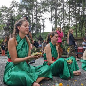 que faire a ubud guide pratique bali activites logements