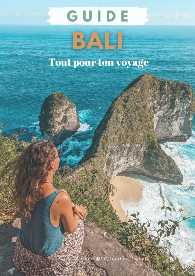 ebook guide bali voyage