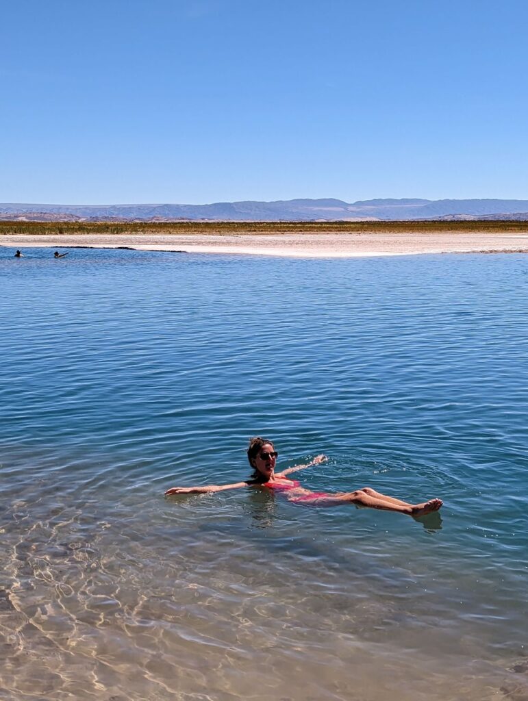 laguna cierra desert atacama guide chili