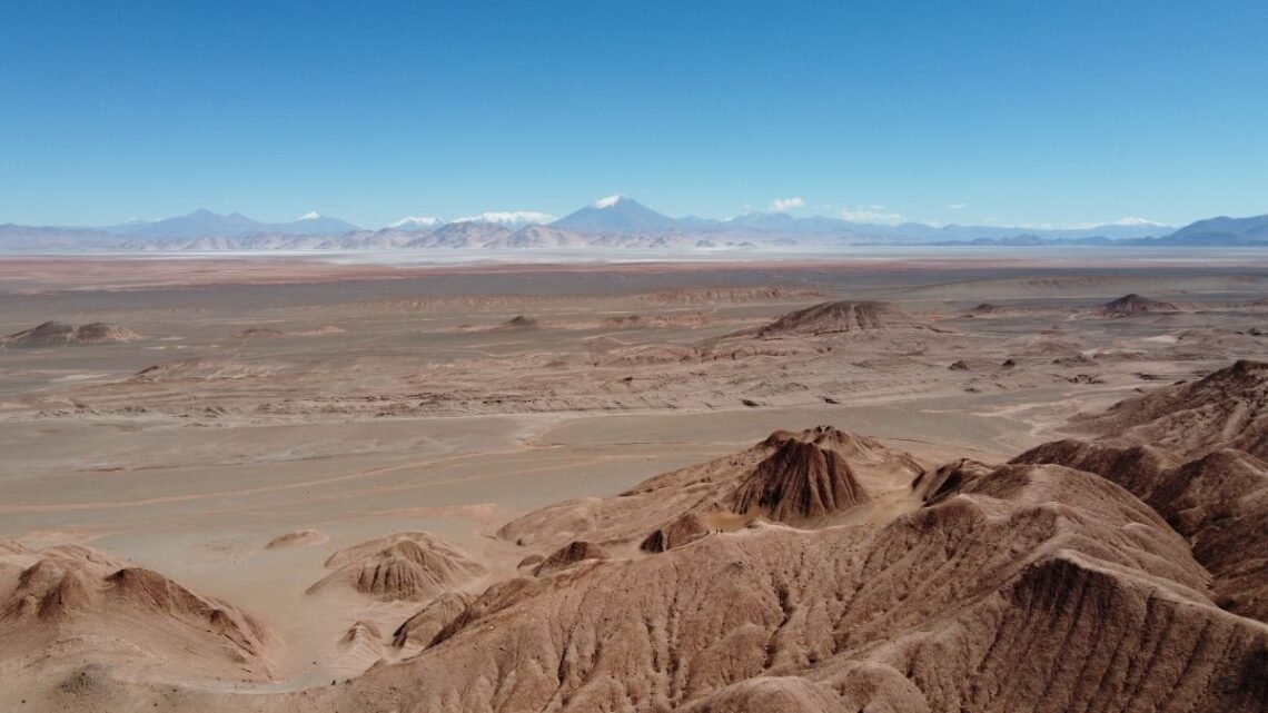 visiter tolar grande argentine puna guide budget informations pratiques