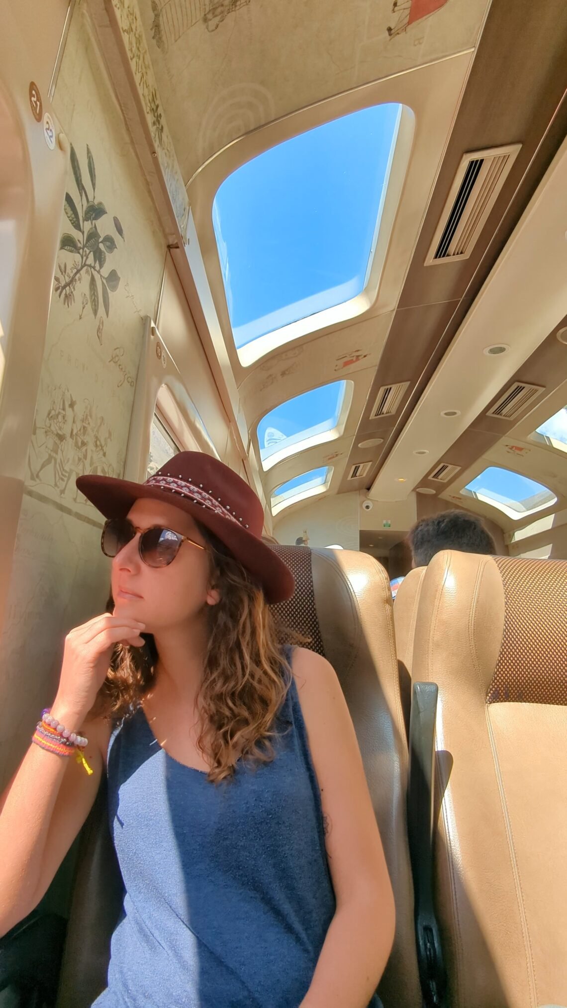 train peru rail cusco ollantaytambo aguas caliente machu picchu experience
