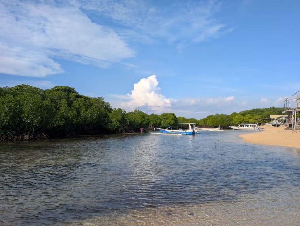 nusa lembongan mangrove que faire excursion
