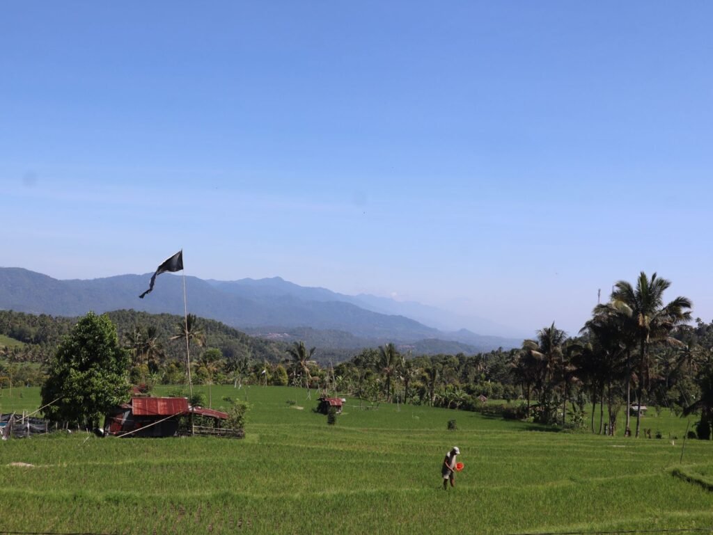 rizières munduk que faire balade bali