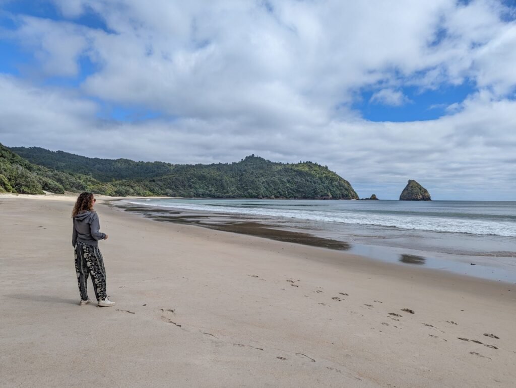 Plage sauvage de New Chum Beach avec sable blond et forêt en arrière-plan, péninsule de Coromandel