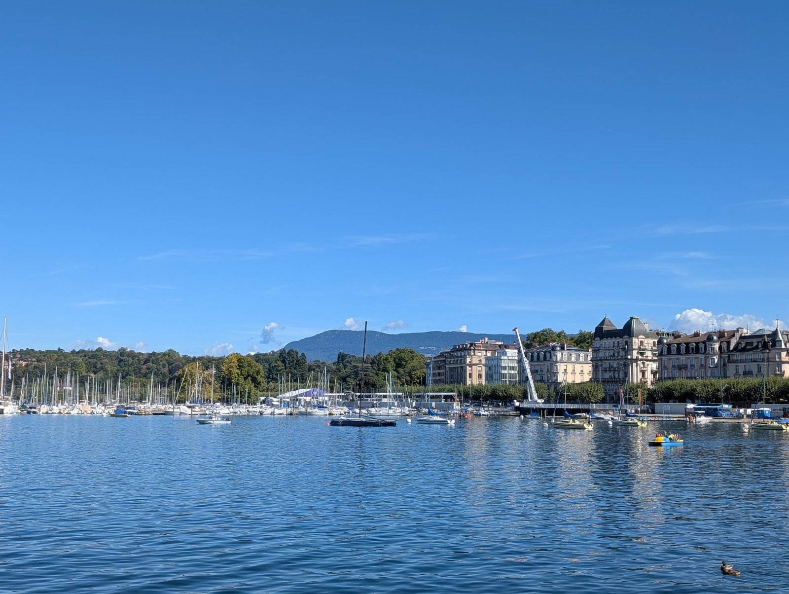 Port des Eaux-Vives à Genève avec voiliers et montagnes en arrière-plan