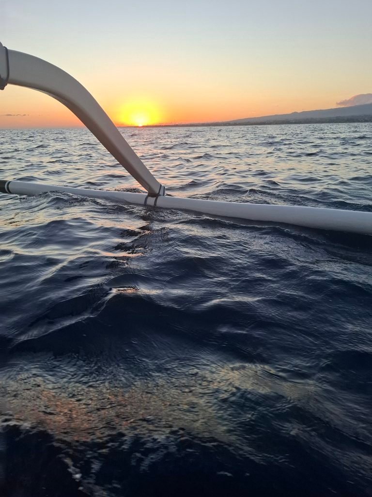 Dauphins à lovina - experience Aurore
